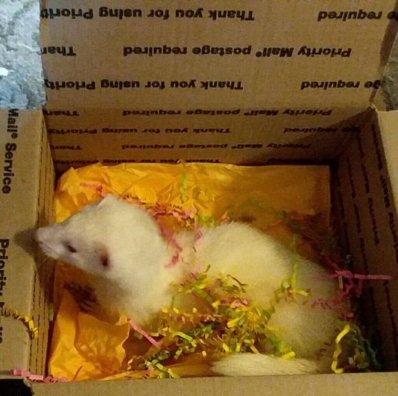 ๐ถ๐น๐ด FYI ๐ด๐น๐ถ - Picture 7 of 8